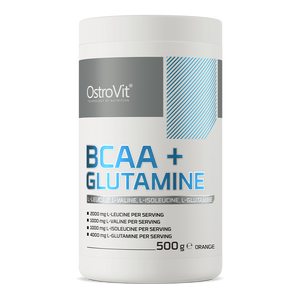 BCAA + Glutamine 500 g orange